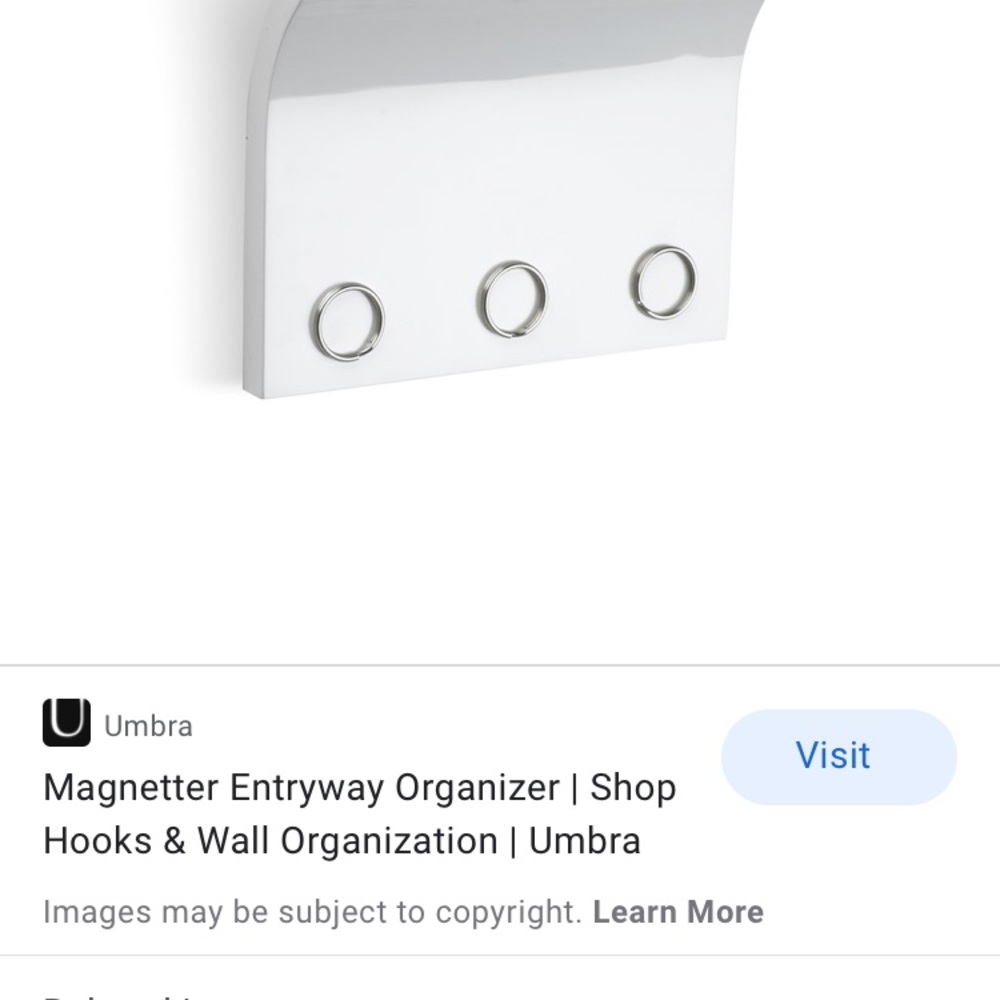 COPY - Umbra magnetic organizer